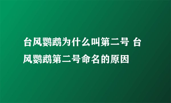 台风鹦鹉为什么叫第二号 台风鹦鹉第二号命名的原因