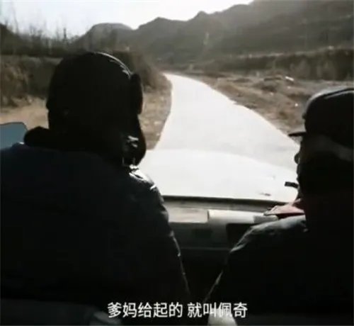 啥是佩奇指的是什么