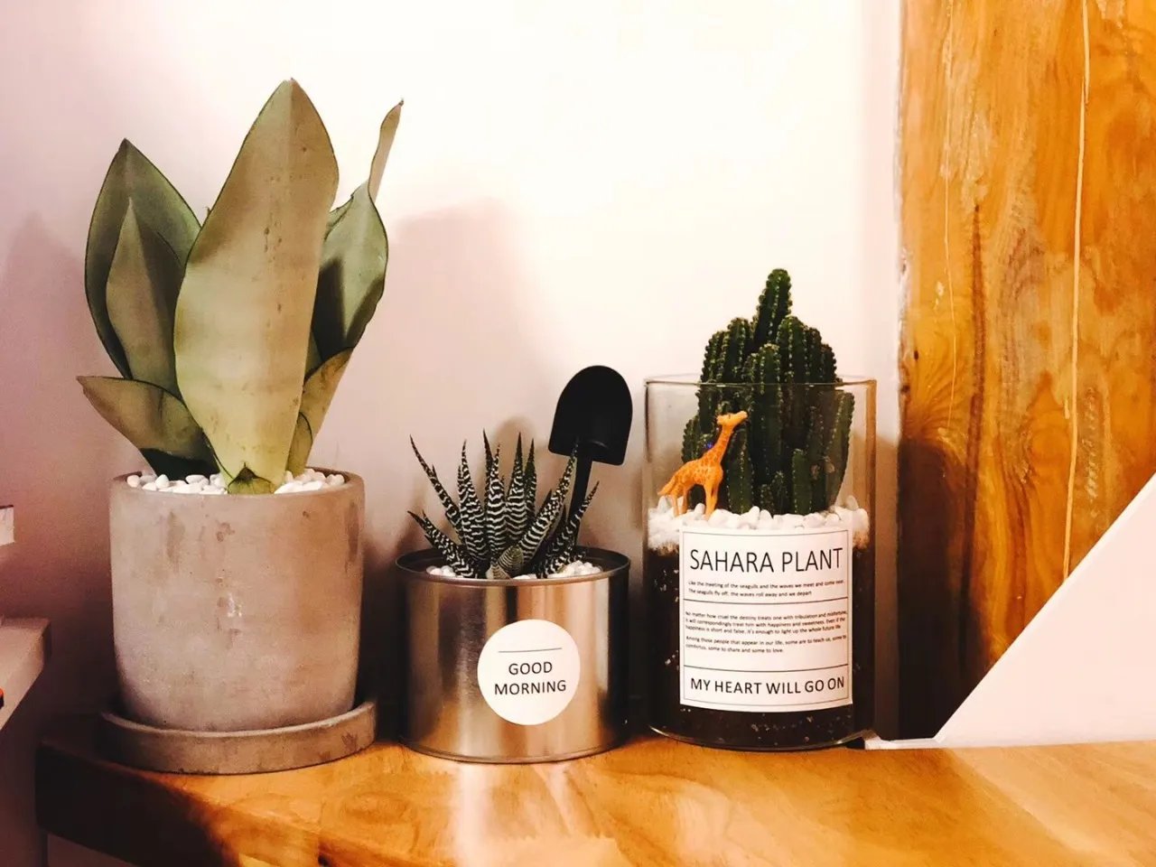 90后夫妻爆改北京20㎡小家，旧屋变厨卫齐全的豪宅