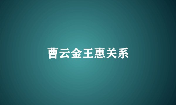 曹云金王惠关系