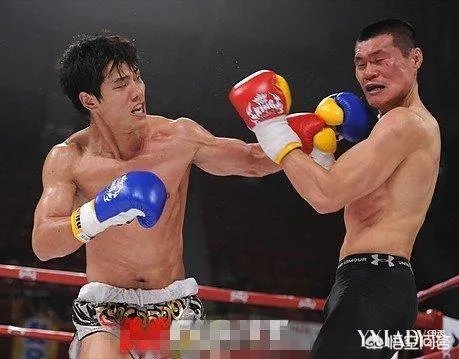 你觉得散打领域里,方便、白近斌、张开印和付高峰谁实力最强?为什么?