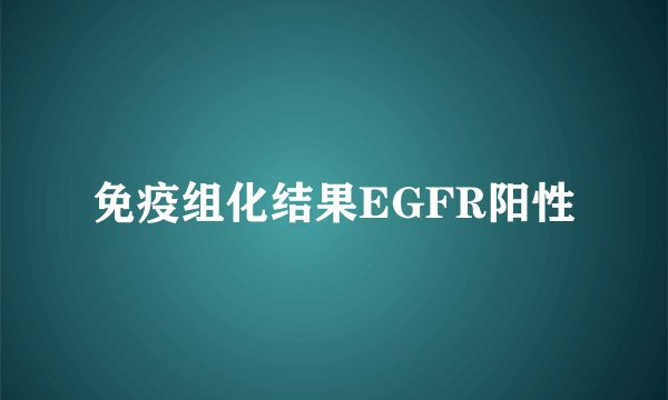 免疫组化结果EGFR阳性