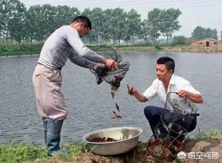 养殖小龙虾大概要准备多少资金?能不能挣钱?