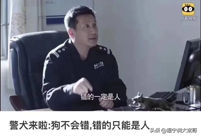 如何把狗狗训练的听你的指令呢？尤其是那种大型的狗？