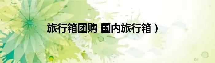 旅行箱团购 国内旅行箱）