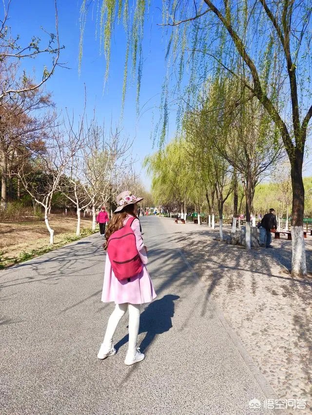 喜欢跳广场舞的朋友，大家谈谈跳广场舞，开心和舞姿哪个更重要？