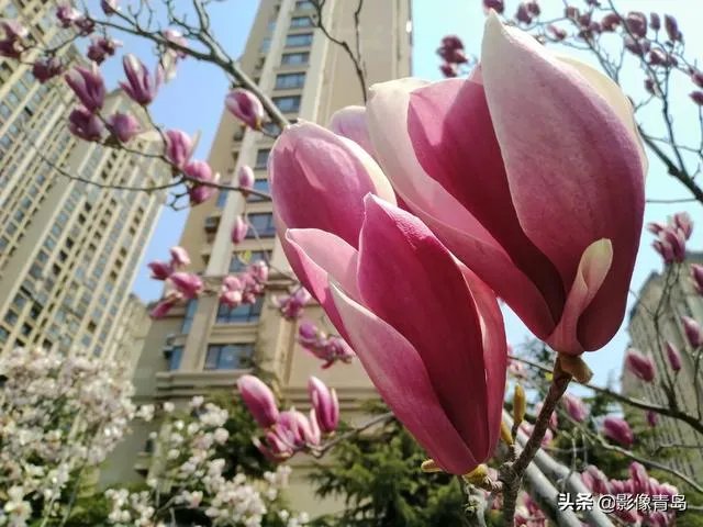 今年五一天津人能跨省旅游吗？