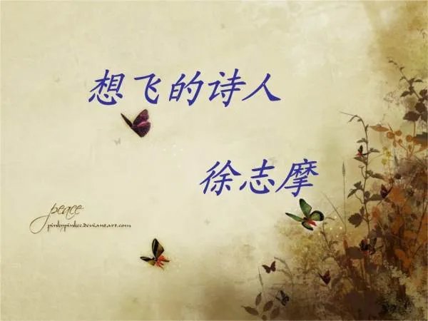 徐志摩的文章《想飞》的解读