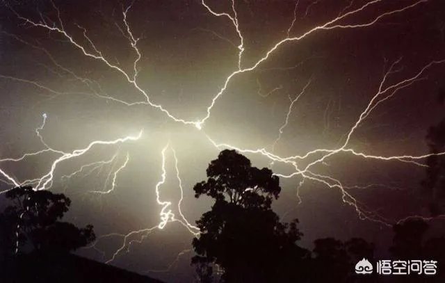 鱼跳上岸是什么征兆