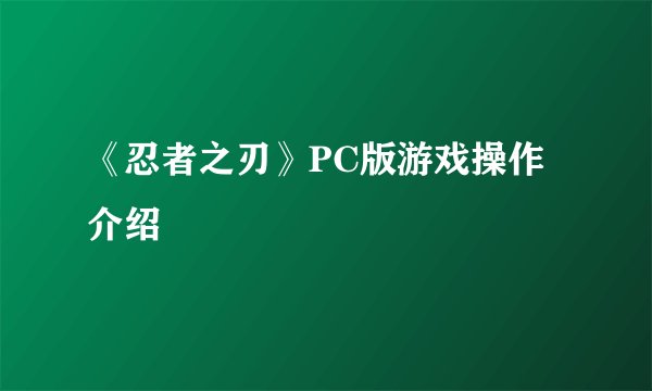《忍者之刃》PC版游戏操作介绍