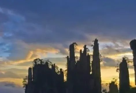 张家界有哪些必去的景点？