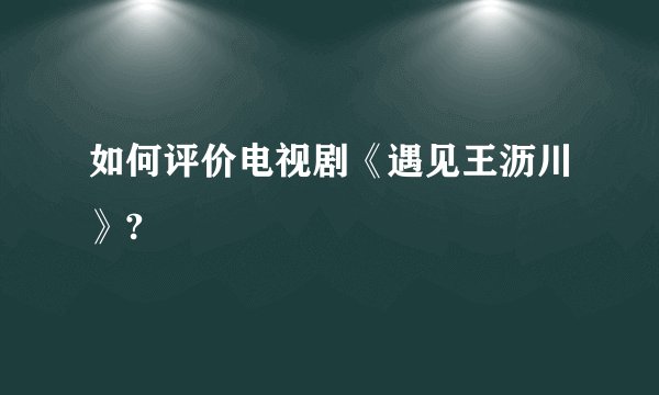 如何评价电视剧《遇见王沥川》?