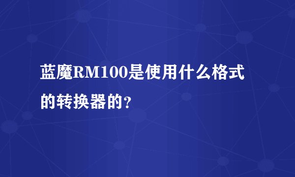 蓝魔RM100是使用什么格式的转换器的？