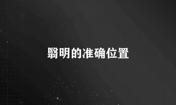 翳明的准确位置