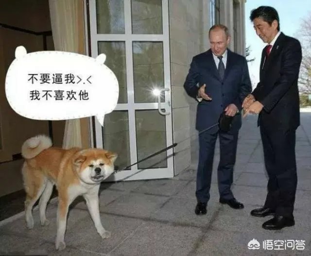 日本发表混乱外交蓝皮书