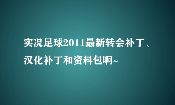 实况足球2011最新转会补丁、汉化补丁和资料包啊~