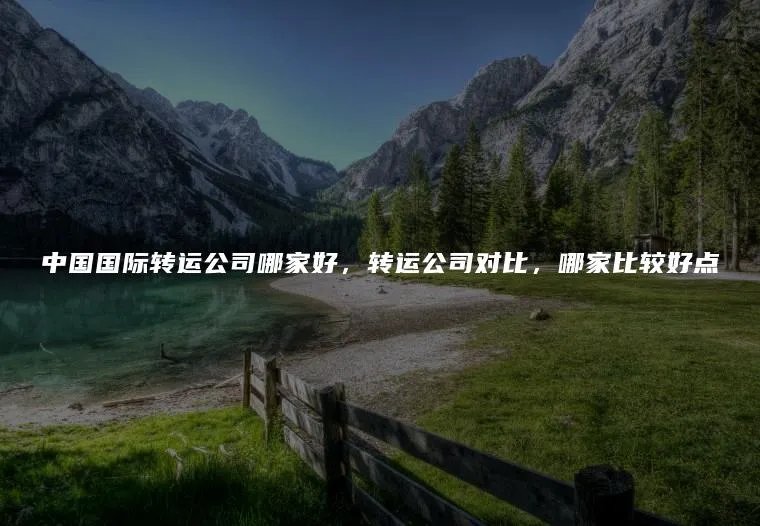 中国国际转运公司哪家好，转运公司对比，哪家比较好点