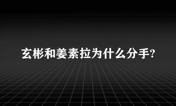 玄彬和姜素拉为什么分手?