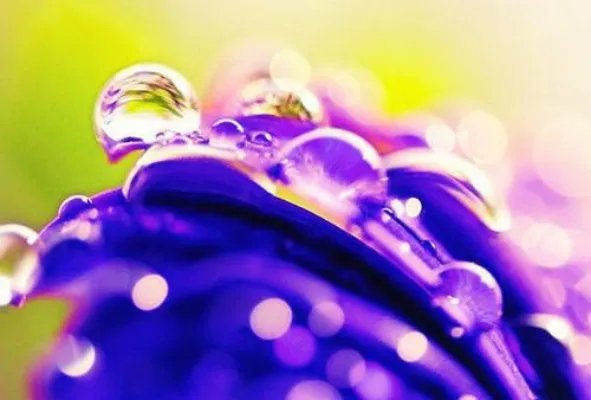 孕妻来袭总裁宠妻成瘾小说 黎浅陆天擎全文阅读