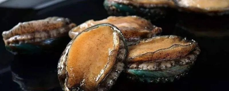 鲍鱼洗干净了能放多长时间