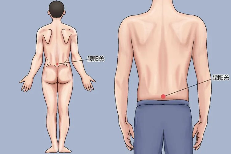 阳关的准确位置和作用