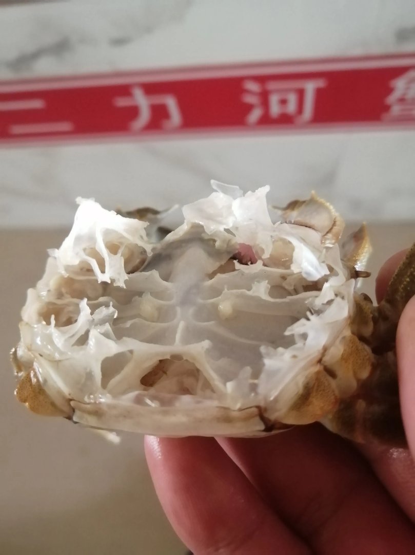 白色大闸蟹隔着壳能看到蟹黄是怎么回事？