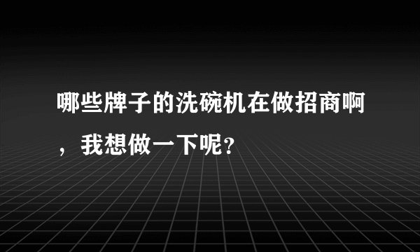 哪些牌子的洗碗机在做招商啊，我想做一下呢？