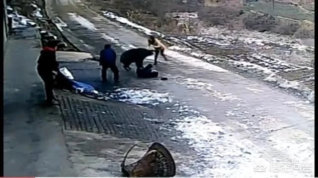 如何看待陕西安康野猪咬死一人伤一人，被击毙这件事？