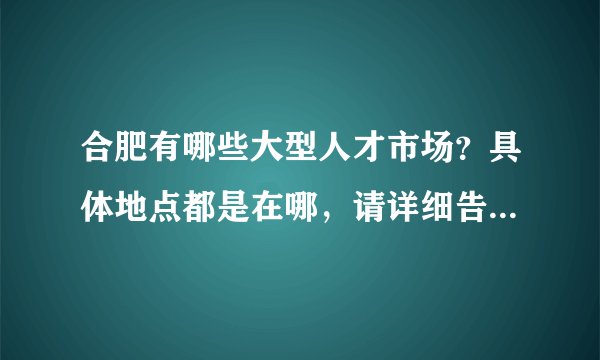 合肥有哪些大型人才市场？具体地点都是在哪，请详细告知，万分感谢。。。