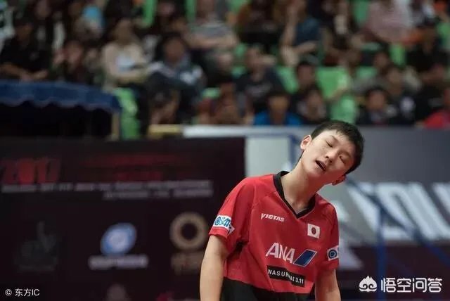 华裔小将张本每天叫嚣要战胜中乒乓球队，却在四强被卡尔完虐，都没有吼叫，你怎么看？