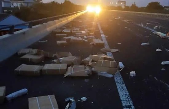 运猪车侧翻20吨活猪遭村民疯抢 网友：原来抢猪不分国界啊