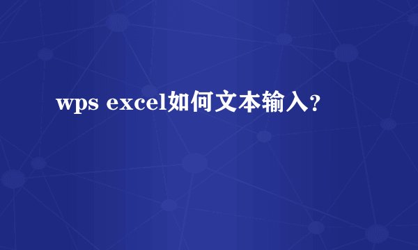 wps excel如何文本输入？