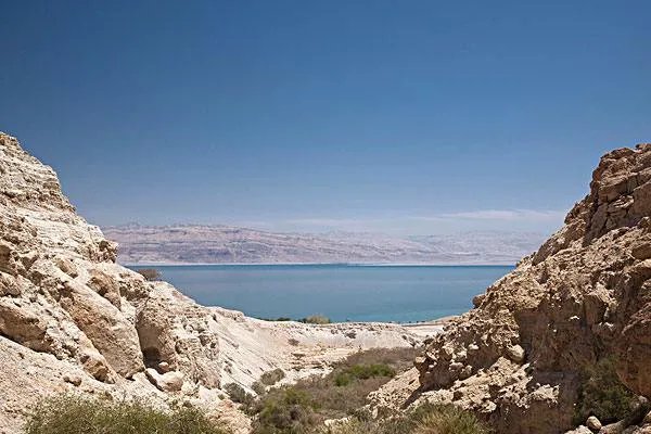 以色列和德国的关系怎么样？