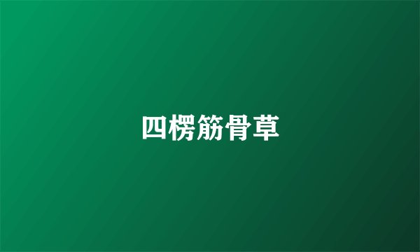 四楞筋骨草