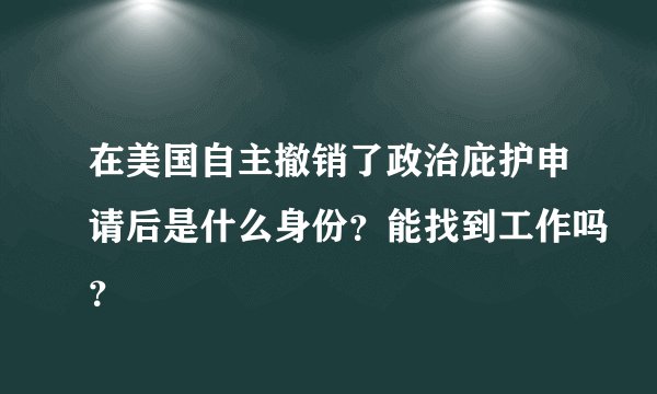 在美国自主撤销了政治庇护申请后是什么身份？能找到工作吗？