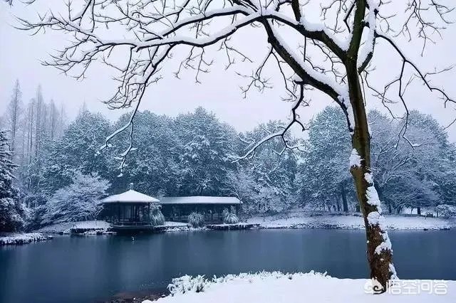为什么今年广东、杭州都下雪了？