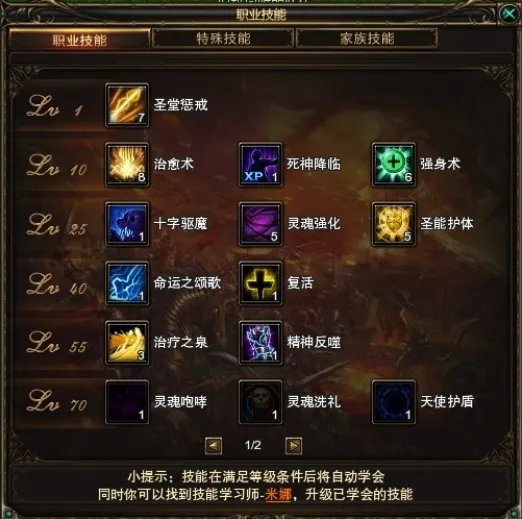 《神鬼世界》大祭司加点技能 挂机设置