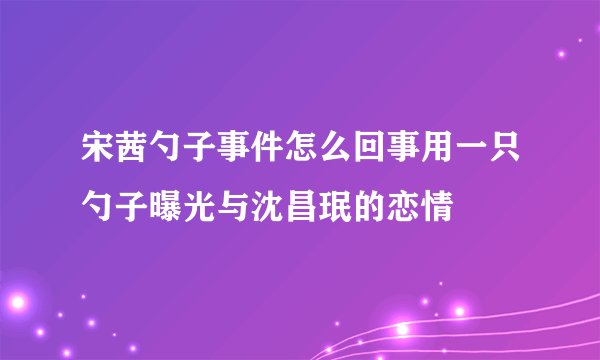 宋茜勺子事件怎么回事用一只勺子曝光与沈昌珉的恋情