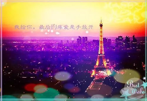 乔木兮严谦琛小说 总裁我要离婚