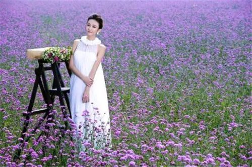 2018北京婚纱影楼排行出炉  10大人气影楼任你挑任你选