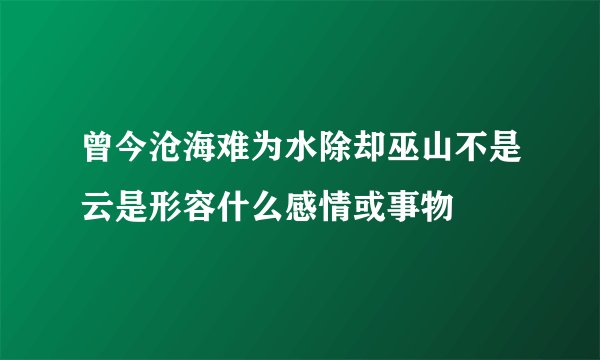 曾今沧海难为水除却巫山不是云是形容什么感情或事物