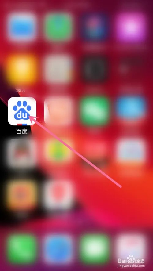 宫猫过大年怎么玩