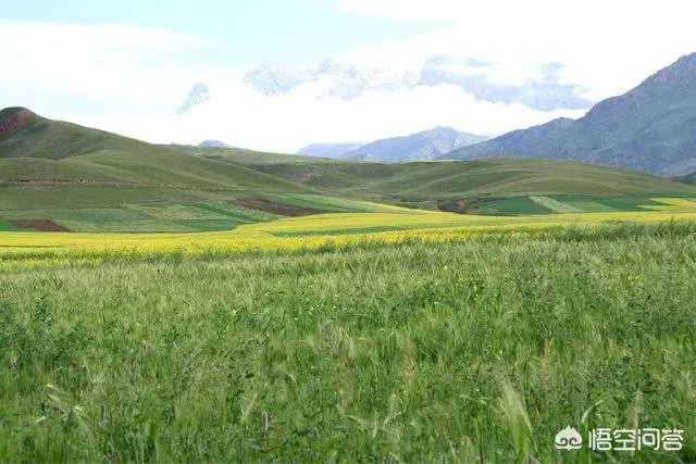 在自己家的耕地上建了一个养殖场，现在说属于违建要拆，该怎么办啊？