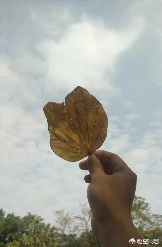 为什么今年广东、杭州都下雪了？