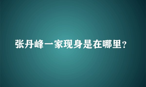 张丹峰一家现身是在哪里？
