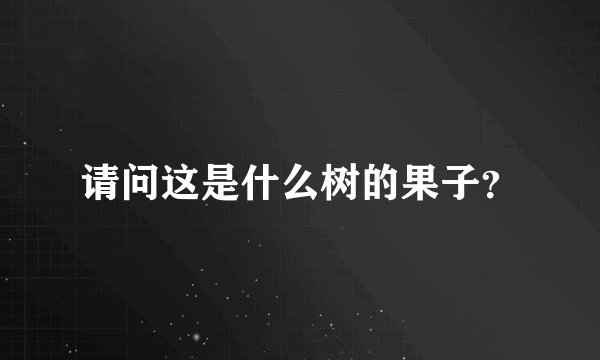 请问这是什么树的果子？