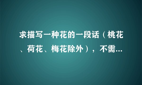求描写一种花的一段话（桃花、荷花、梅花除外），不需要开头结尾，直接描写。需要仿照课文夹竹桃和广玉兰