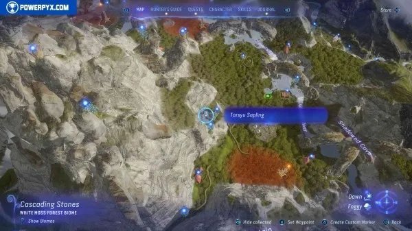 《阿凡达潘多拉边境》塔休幼苗位置汇总 塔休幼苗收集攻略