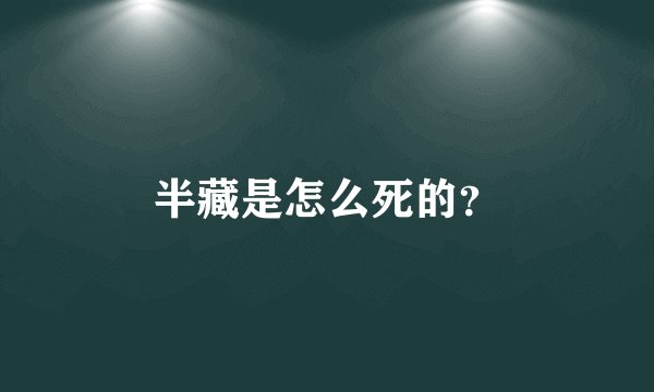 半藏是怎么死的？