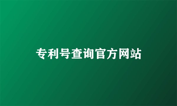 专利号查询官方网站